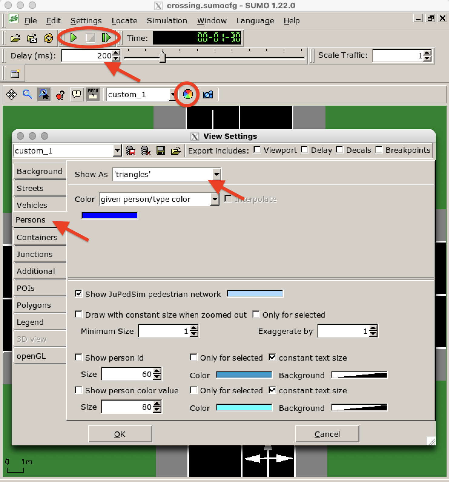 *sumo-gui* 的设置